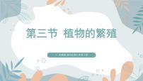 初中生物苏教版（2024）七年级下册（2024）植物的繁殖备课ppt课件