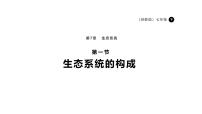 初中生物苏教版（2024）七年级下册（2024）生态系统的构成图片课件ppt