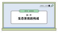 苏教版（2024）七年级下册（2024）生态系统的构成评课ppt课件