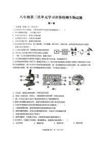 2025年山东省枣庄市第十五中学八年级中考三模生物试卷（中考模拟）