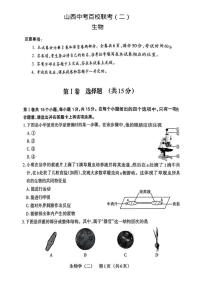 2025年山西省吕梁市岚县部分学校八年级二模生物试题（中考模拟）