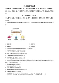 2025年山东省青岛市崂山区八年级二模生物试题（中考模拟）