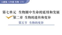 人教版（2024）八年级下册生物的变异教学ppt课件