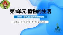 初中生物苏教版（2024）七年级下册（2024）植物的生长教学课件ppt