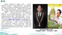 生物七年级下册（2024）遗传信息改变可引起生物变异示范课ppt课件