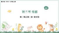 生物七年级上册（2024）细菌图片课件ppt