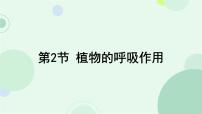 苏教版（2024）七年级下册（2024）植物的呼吸作用教课内容ppt课件