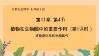 生物七年级下册（2024）第4节 植物在生物圈中的重要作用集体备课课件ppt