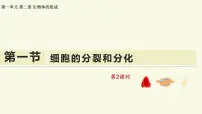 生物细胞的分裂和分化教学ppt课件