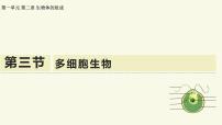 初中生物苏教版（2024）七年级上册（2024）多细胞生物教学ppt课件