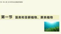 初中生物苏教版（2024）七年级上册（2024）藻类和苔藓植物、蕨类植物教学课件ppt