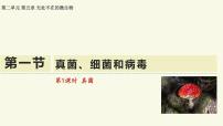 初中生物苏教版（2024）七年级上册（2024）真菌、细菌和病毒教学ppt课件