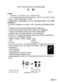 2025年山东省枣庄市滕州市八年级学业水平第三次模拟考试生物试题（PDF版，含答案）
