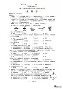 2025年福建省厦门市集美区八年级中考二模联考生物试卷（图片版，含答案）