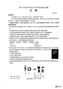2025年山东省滕州市八年级学业水平第三次模拟考试生物试题（中考模拟）