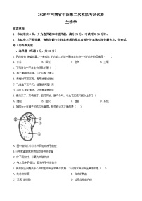 2025年河南省驻马店市八年级三模生物试题（中考模拟）