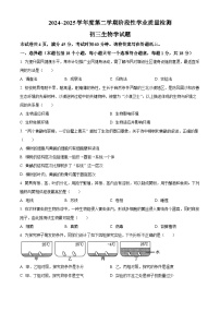 2025年山东省淄博市高新区中考二模生物试题（中考模拟）