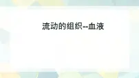 初中生物人教版（2024）七年级下册（2024）流动的组织—血液教学ppt课件