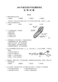 2025年福建省泉州市惠安县八年级中考模拟生物试题（中考模拟）