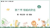 冀少版（2024）七年级上册（2024）细胞的形态教学课件ppt