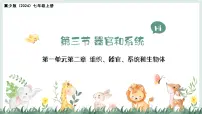 初中生物冀少版（2024）七年级上册（2024）器官和系统教学ppt课件