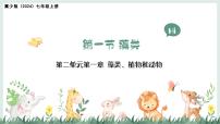 初中生物冀少版（2024）七年级上册（2024）藻类教学课件ppt