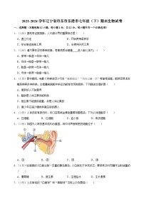 辽宁省丹东市东港市2023-2024学年七年级下学期期末考试生物试卷
