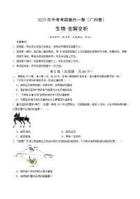 2025年中考考前押题最后一卷：生物（广州卷）（考试版）