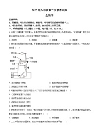 2025年广西柳州市八年级二模生物试题（中考模拟）