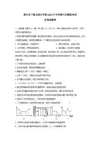 2025年湖北省黄石市下陆区部分学校中考第三次模拟考试生物试题（中考模拟）