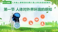 初中生物人教版（2024）八年级上册（2024）第一节 人体对外界环境的感知教学课件ppt