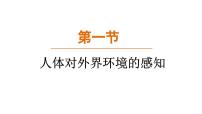 人教版（2024）八年级上册（2024）第一节 人体对外界环境的感知课堂教学ppt课件