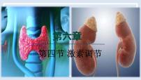 初中生物人教版（2024）八年级上册（2024）第四节 激素调节示范课ppt课件