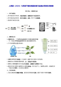 人教版（2024）七年级下册生物期末复习全册必背知识点提纲 学案