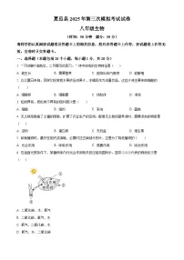 2025年河南省商丘市夏邑县中考三模生物试题（中考模拟）