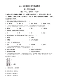 福建省泉州市南安市2024-2025学年七年级下学期期中生物试题