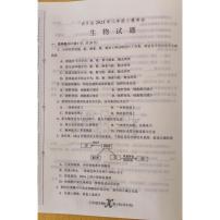 2025年河南省南阳市内乡县八年级中考三模生物试题（中考模拟）