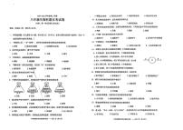 广东省汕头市潮南区陈店公校2024-2025学年八年级下学期6月月考生物试题
