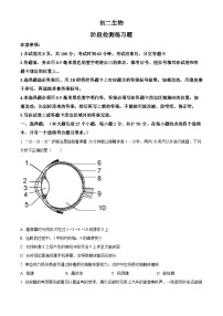 精品解析：山东省烟台市芝罘区2022-2023学年七年级下学期期末生物试题（原卷版+解析版）