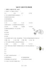 2025年上海市中考生物试卷含标答