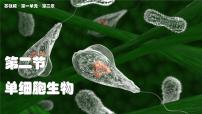 初中生物苏教版（2024）七年级上册（2024）单细胞生物教学ppt课件