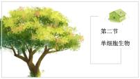 初中生物苏教版（2024）七年级上册（2024）单细胞生物教课课件ppt