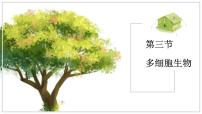 初中生物苏教版（2024）七年级上册（2024）多细胞生物背景图课件ppt