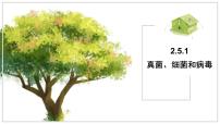 生物真菌、细菌和病毒教案配套ppt课件