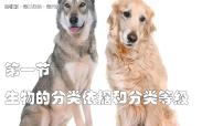 苏教版（2024）七年级上册（2024）生物的分类教课内容课件ppt