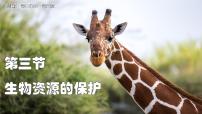 初中生物生物资源的保护示范课ppt课件