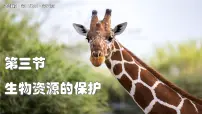 初中生物生物资源的保护示范课ppt课件