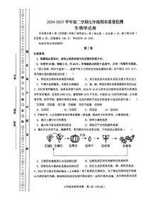 天津市河东区2024-2025学年七年级下学期期末考试生物试卷