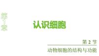苏教版（2024）七年级上册（2024）动物细胞的结构与功能教课内容ppt课件