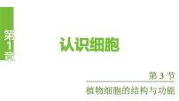 苏教版（2024）植物细胞的结构与功能图文课件ppt